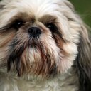 Willow Turner - @juswillowturner - Twitter