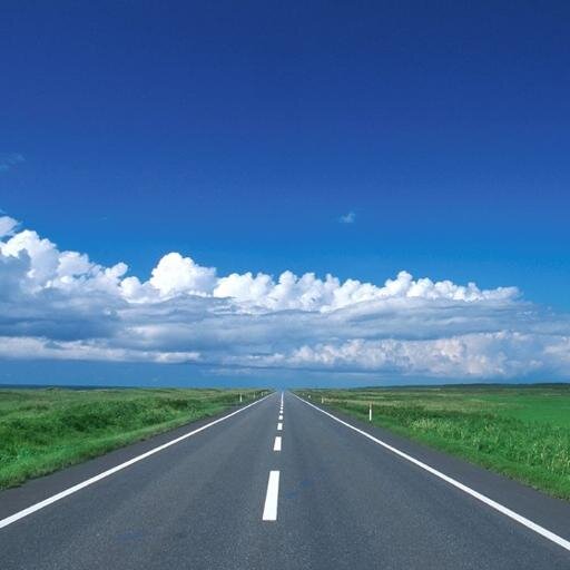 UPlamo's profile picture. 