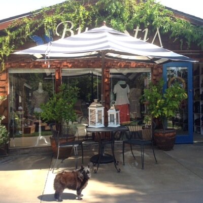 ohmarsh's profile picture. 