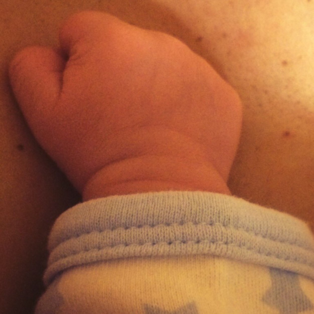 PatxiZumarraga's profile picture. Cocinero