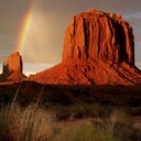 Edith Lynch - @edithlynchnl - Twitter