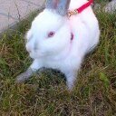 vaidehip18's profile picture. Rock On !!!!!! & stay cool & smooth