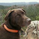 Bryan Ware - @beware1044 - Twitter