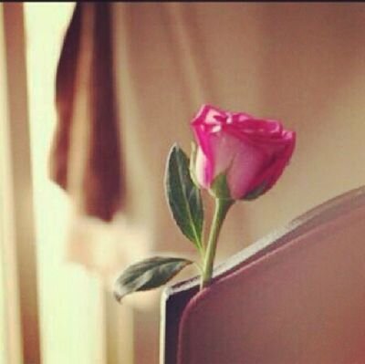 ‏‏فتاه حائليه ‏‏من جمهور المنشد محمد العبدالله صاحب الصوت الملكي                                                               #محمد_العبدالله