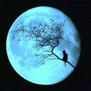 FERNANDO MURO - @FHERMETAL - Twitter