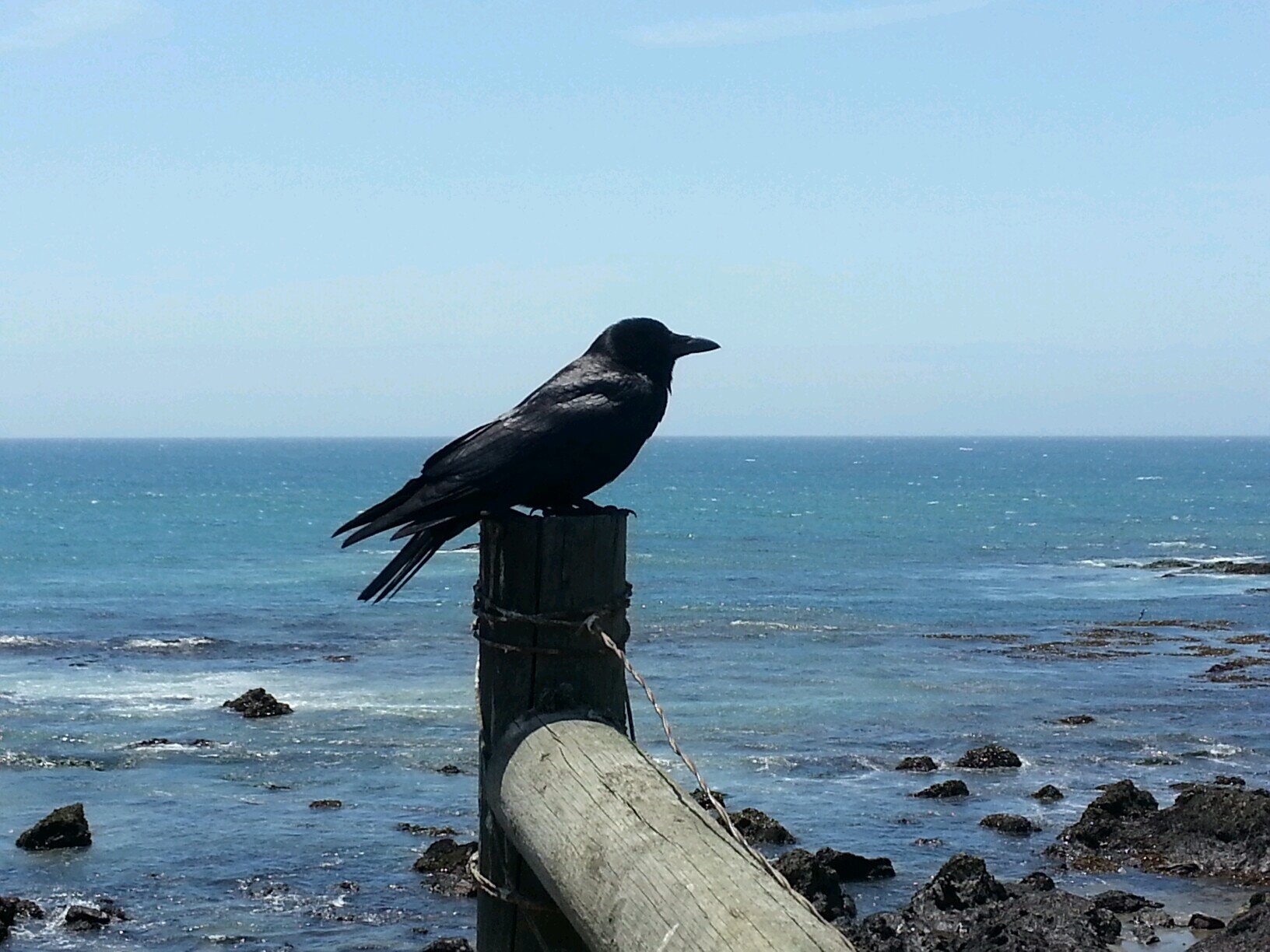 Poet, Photographer and World Traveler.