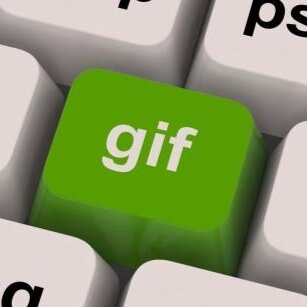 Posting the funniest gifs you will ever see from all over the internet! I FOLLOW BACK!