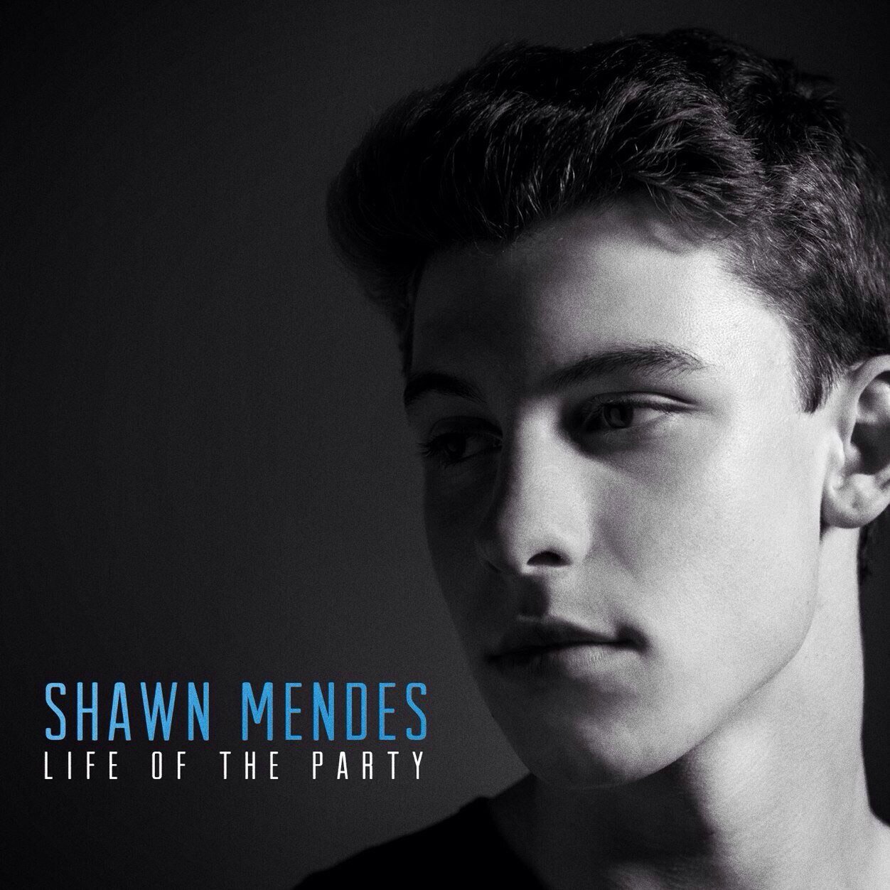 All I have to say is I am in love with shawn! Nash i want that ash, cam zayuumm you guys know the rest