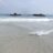 Dolphinmarin3