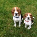 Aaron Prentice - @Aprentice27 - Twitter