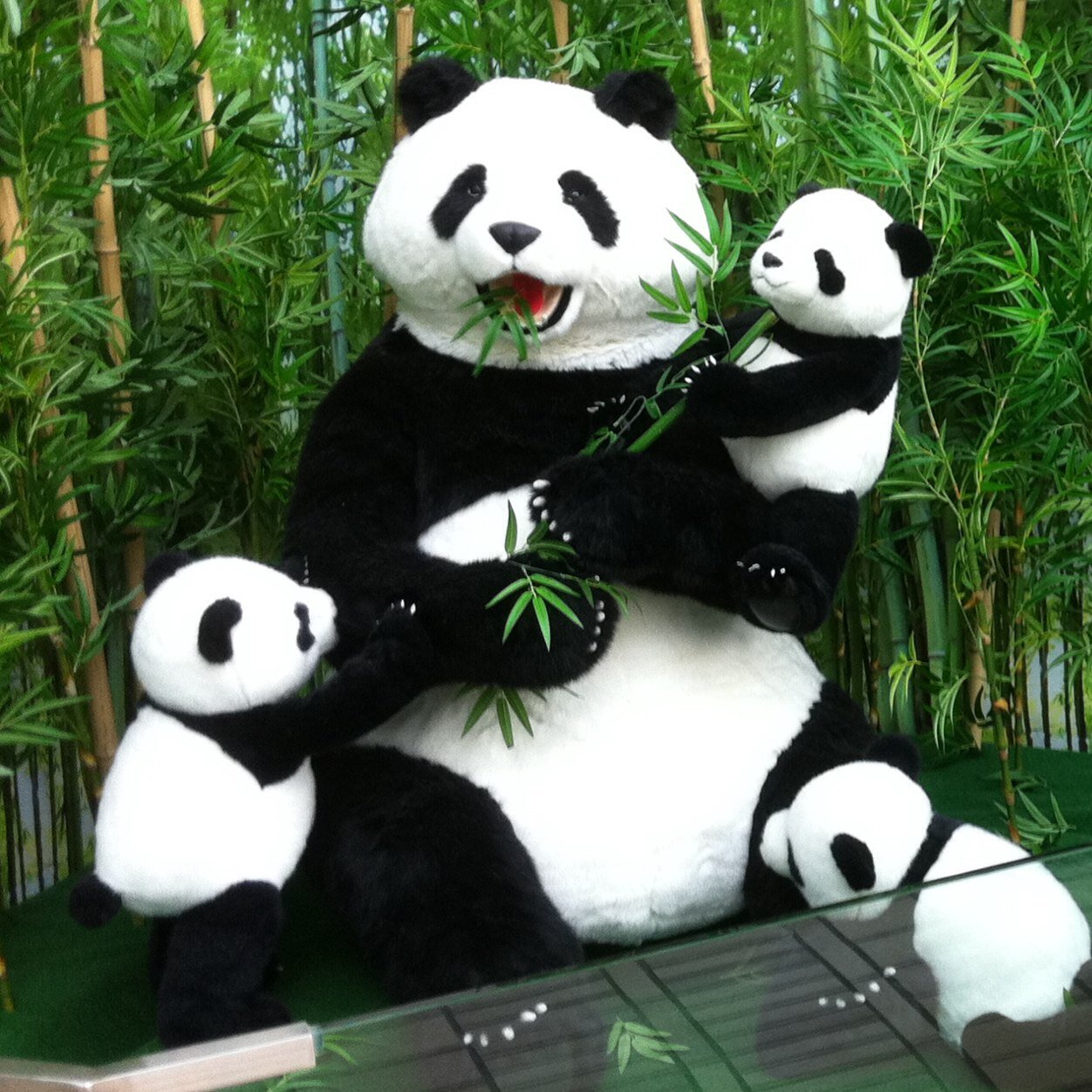 dylanho1507's profile picture. 