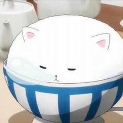 ちゃんそー【よさこい部顧問】