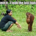 Matthew Ware - @Warebear1994 - Twitter