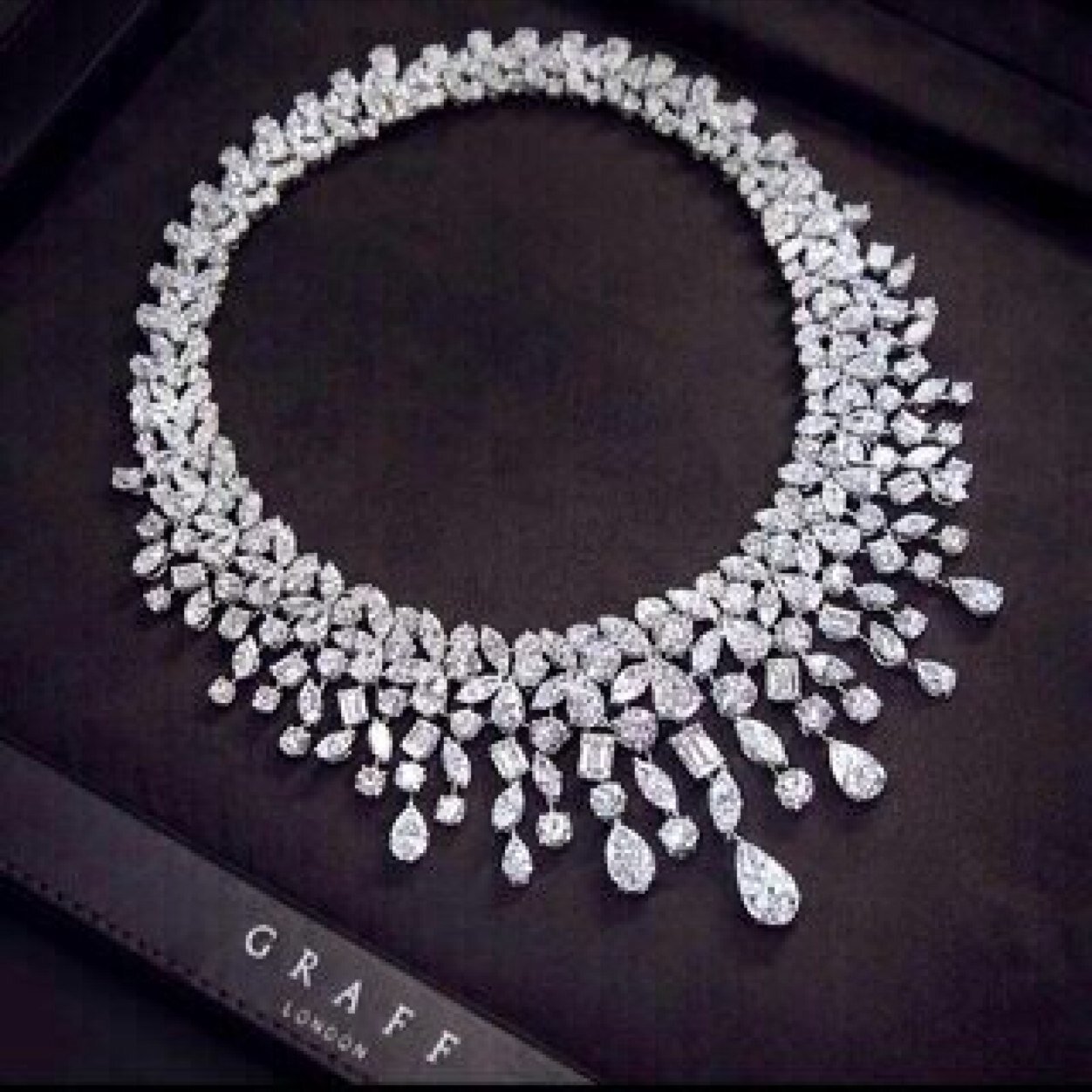 : كل طيرٍ مثل جنسه له نديم مايتخاوئ الحرر مع طيرر النعام،،،