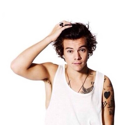 hi i just gave you a free follow so please follow @dinernarry and retweet the link in the bio