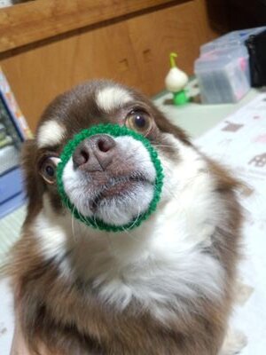 成人済み社会人。読むの専用で登録しています。