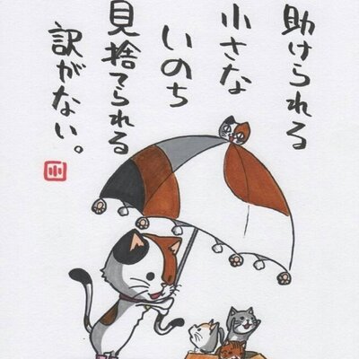 ねこ達のいえ 保護ねこカフェ7周年 Nekonoie5622 Twitter ねこ達のいえ 保護ねこカフェ7周年 Nekonoie5622 Twitter