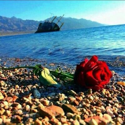 في الحياه دائما هنآك ثمة صراع يحدث مابين اليأس واﻷمل وفي كل مره يعود اﻷمل حاملا راية اﻹنتصار♡