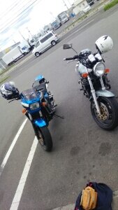 暇な人フォロー宜しくお願いします。仕事：介護職。バイク:XJR1200/車:ＳＨ系フォレスター/趣味:旅行/ツーリング/犬/ネコ/動物園/カメラ/[Alexandros]/クロマニヨンズ
