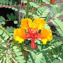 Virginia McGraw - @VirginiaMcGraw - Twitter