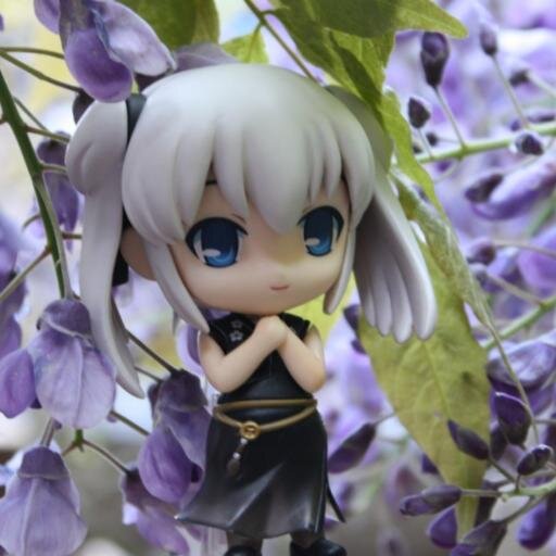 lalaさんのプロフィール画像