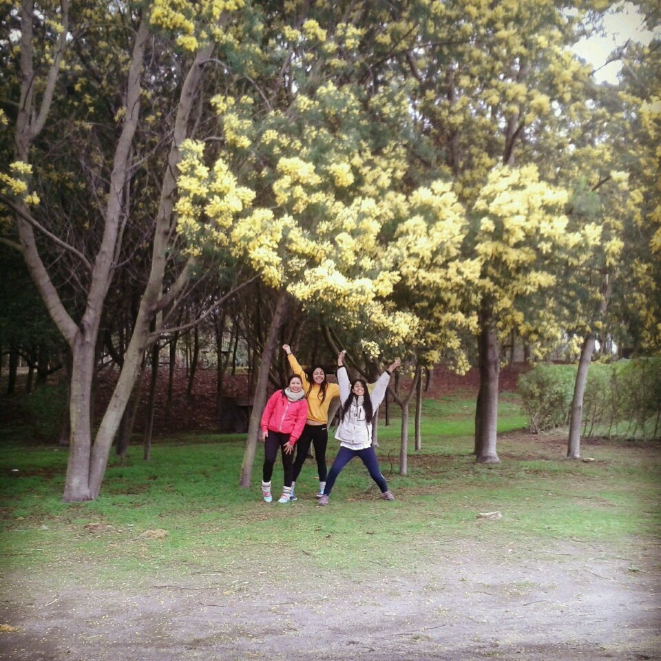 laura_Impala's profile picture. 