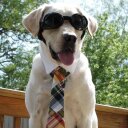 Kay Blair - @realtinggirl - Twitter