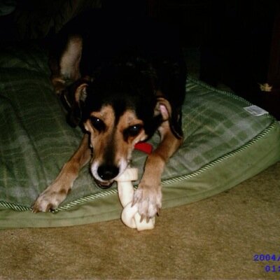 chmielewskic's profile picture. 