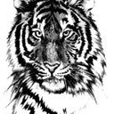 Tony Shears - @T1G3R_T - Twitter