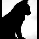 Daniel Rockoff - @Dannymanbro - Twitter