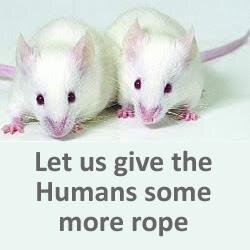 Been feeding humans lab results since 1951