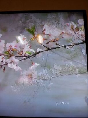 qkrrmsgPakstp's profile picture. 