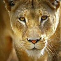 superkeoni (@keoniandme) 's Twitter Profile Photo