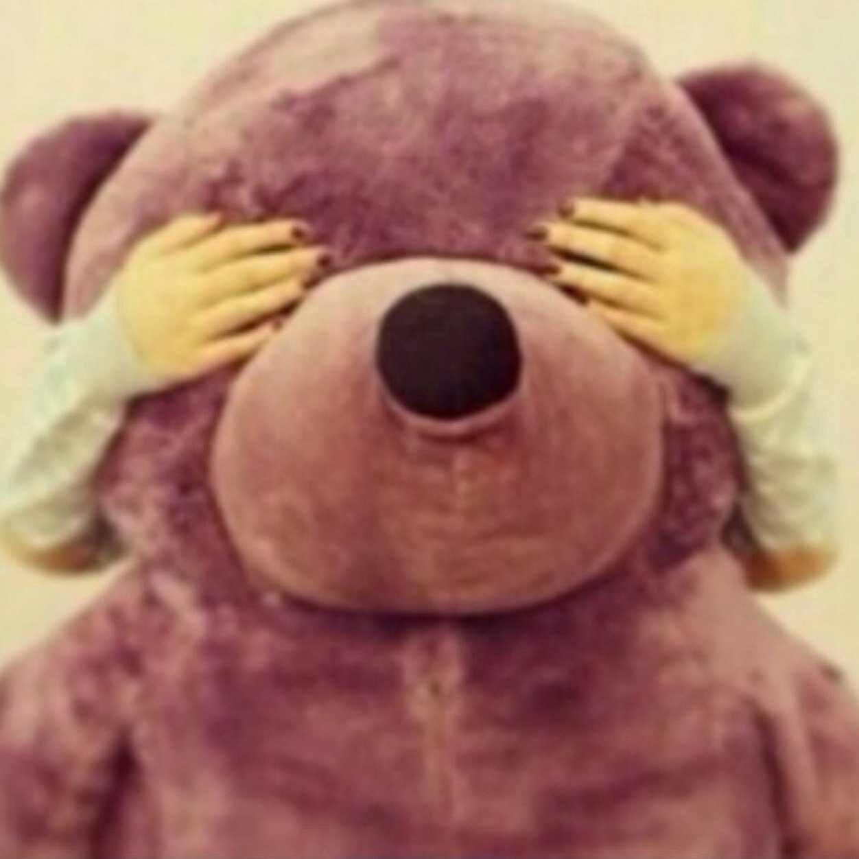 TTools17's profile picture. 