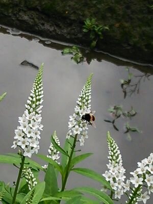 朝岡百恵さんのプロフィール画像