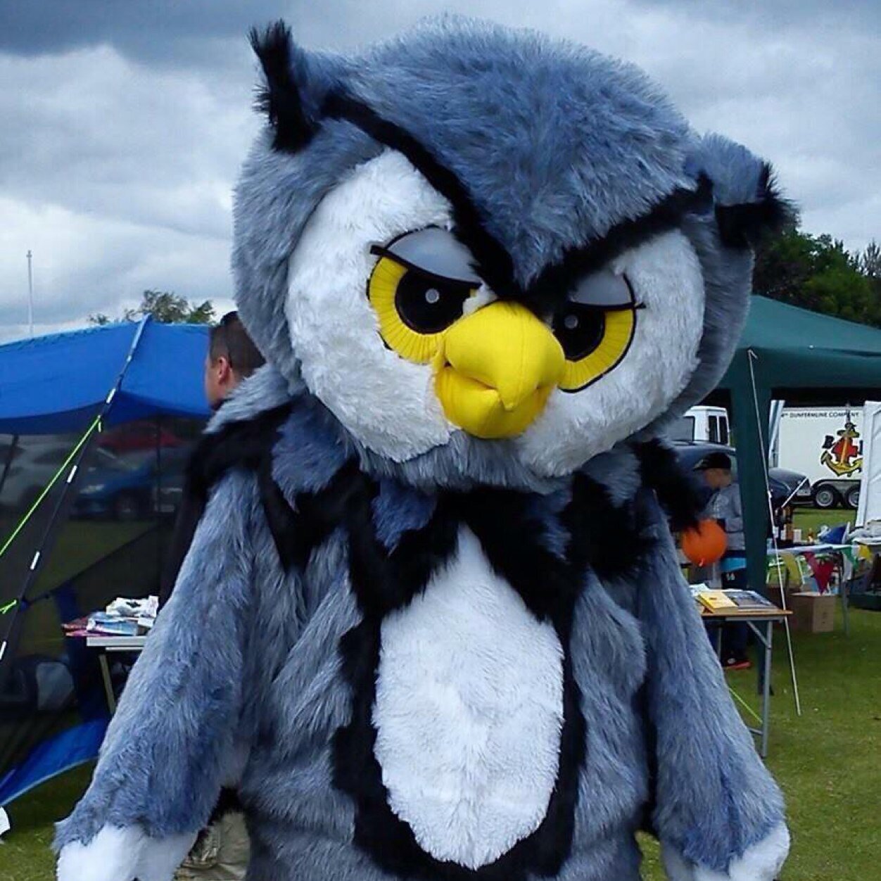 RelayForLifeDB's profile picture. A local community dedicated to raising funds to beat cancer.