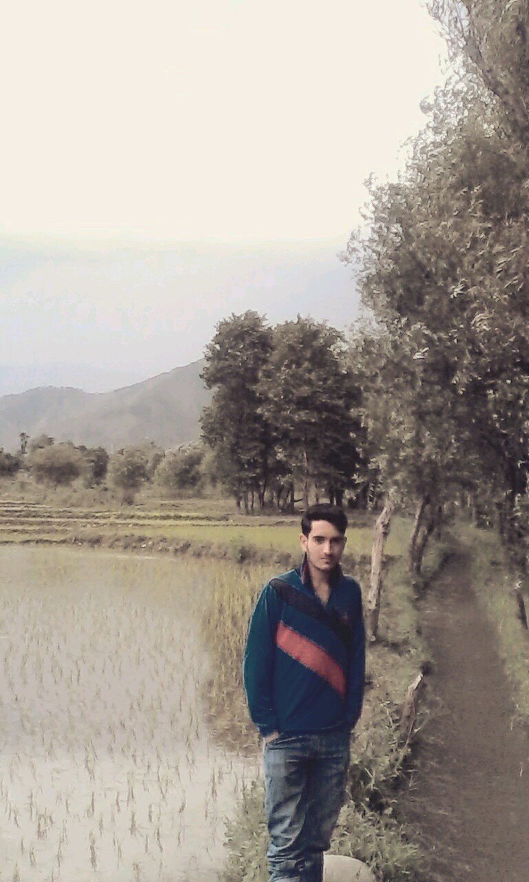 love life and life will love you back