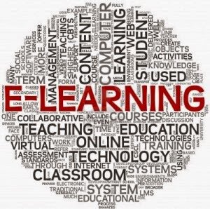 Amante del aprendizaje continuo y la innovación en los contenidos y metodologías aplicadas a la educación