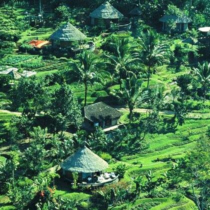 bagusjati3's profile picture. 