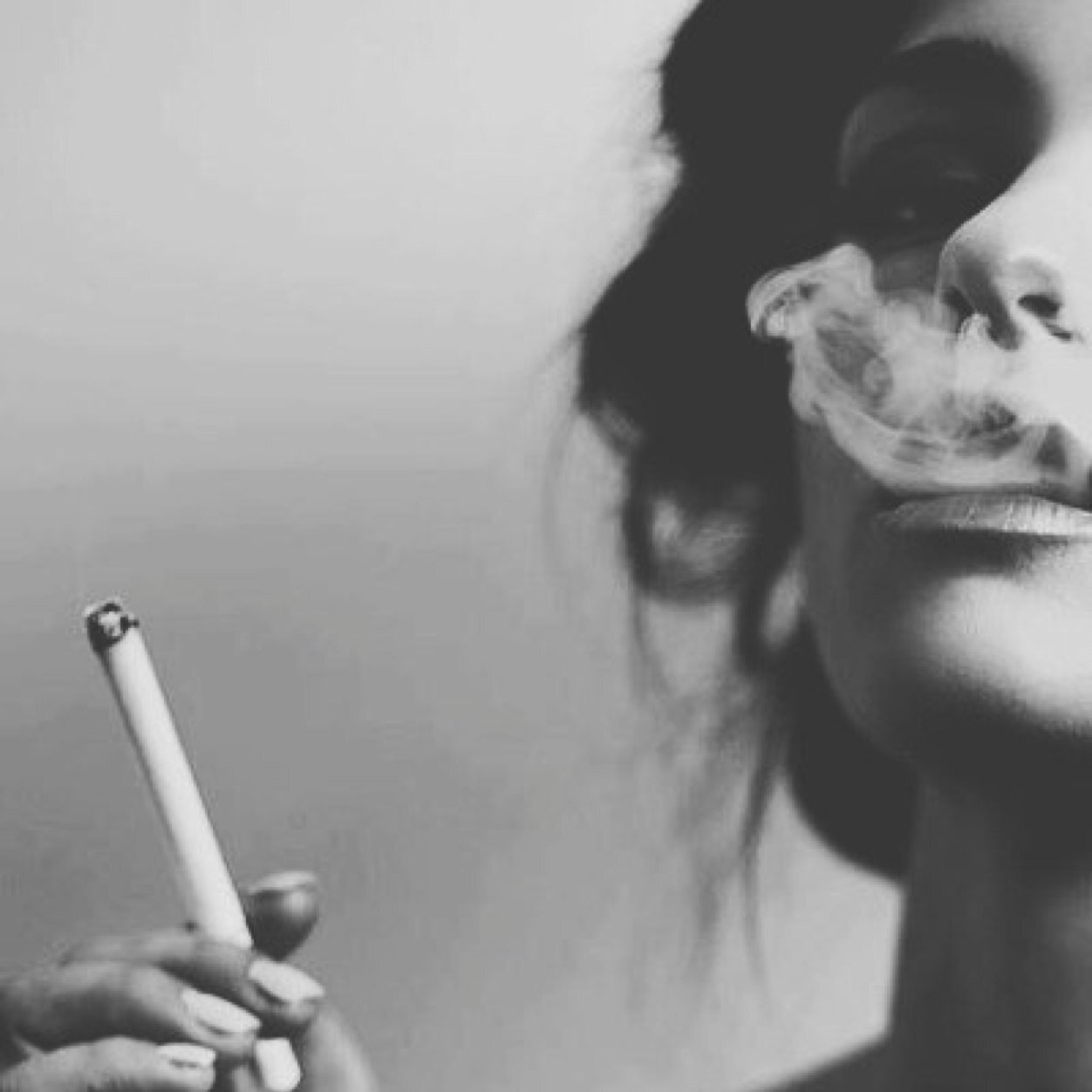 Kikounouu's profile picture. 