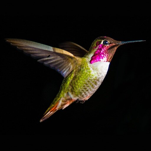 KalsVanDi's profile picture. Nothing,just fine.