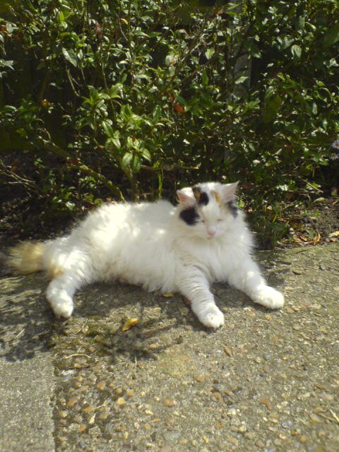 AngelaBishop18's profile picture. 