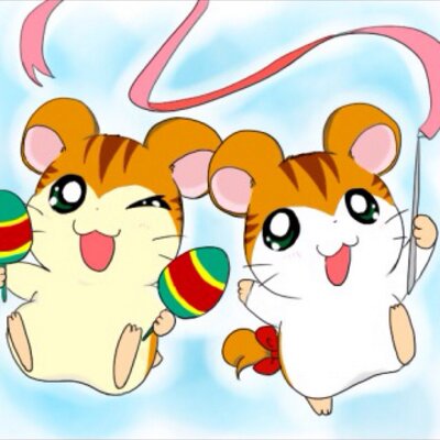 トラハムくん トラハムちゃん Tooooratora Twitter