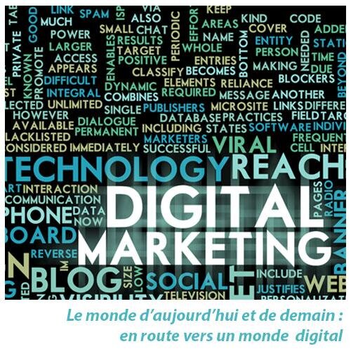 zahida_Web's profile picture. webmarketing, réseaux sociaux, référencement, communication