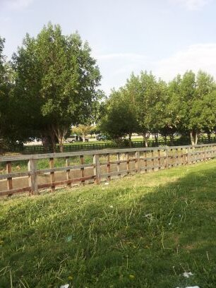 abdo355's profile picture. لا يحزنهم الفزع الاكبر وتتلاقاهم الملائكه هذا يومكم الذي كنتم توعدون