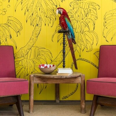 hotellabanane's profile picture. 