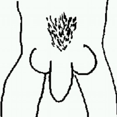 チン毛 ンサイ Chinge Nsai Twitter