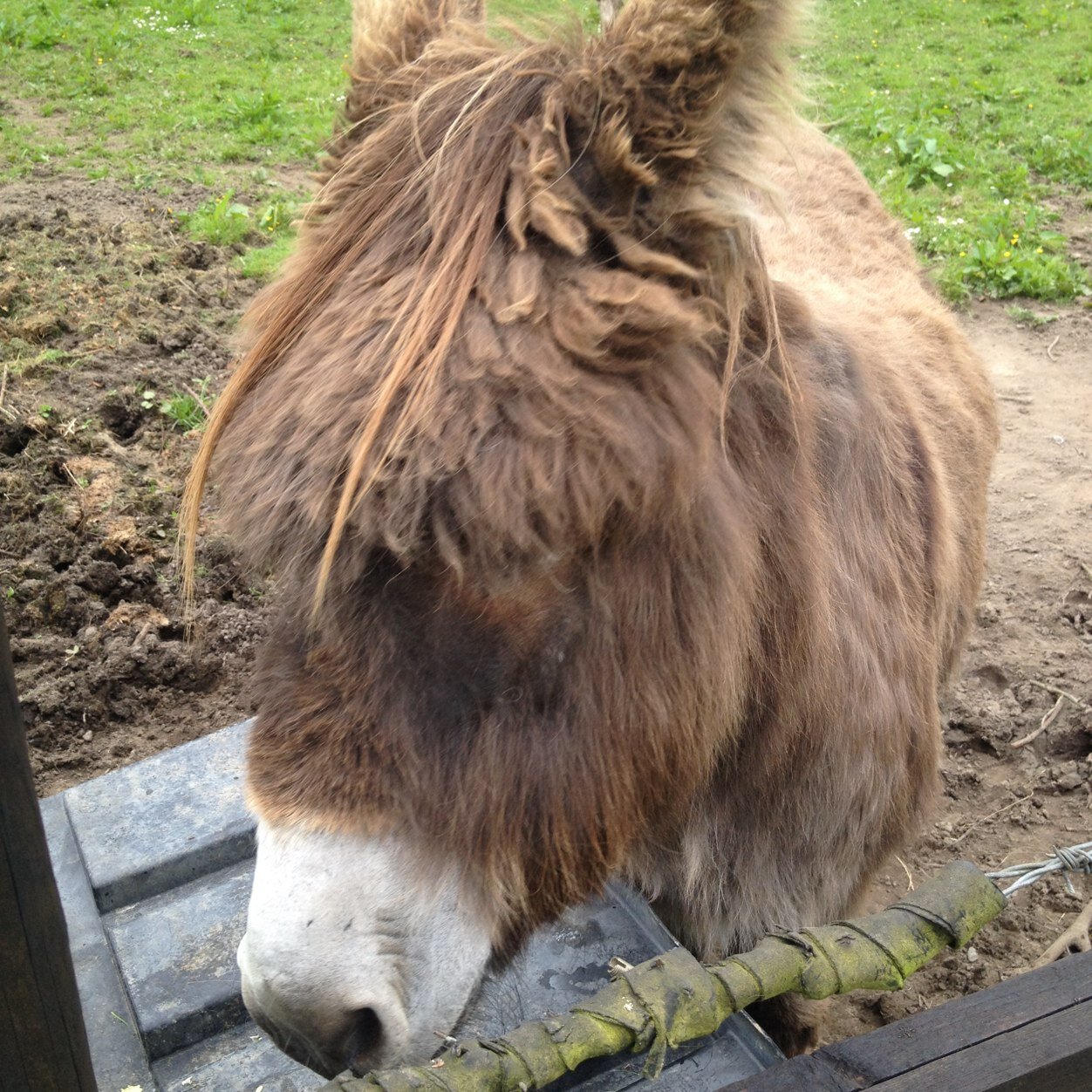 alex_kirwan's profile picture. 