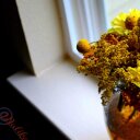 Malika Taouil - @MalikaBruce - Twitter