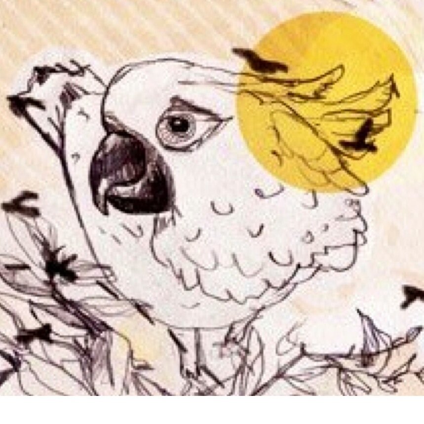 CockatooNelsonさんのプロフィール画像